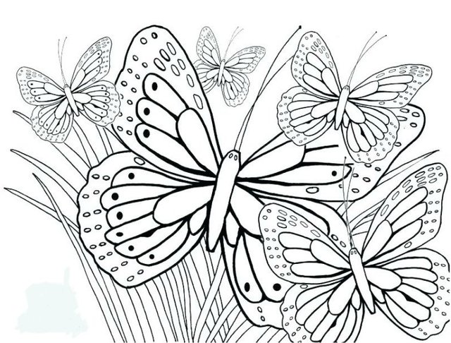 The Butterfly Colouring Contest #7 — Steemit